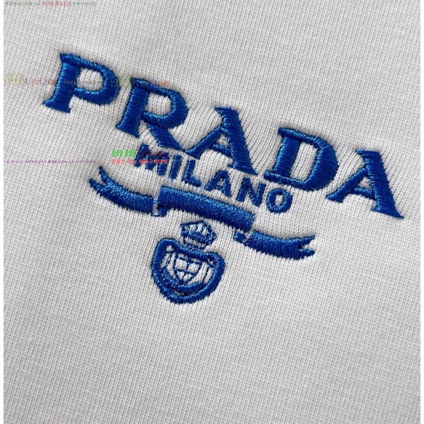   Ŷ PA208024501-1