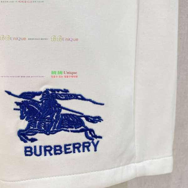  ݹ BU256383-2