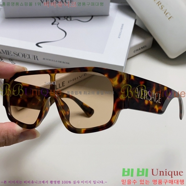 ������ü ���۶� VE102296-3