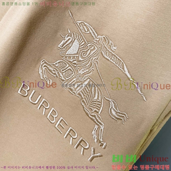 ���� ������ ���� BU528055-1