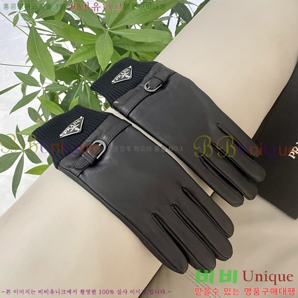 ���� �����  �尩 P02421