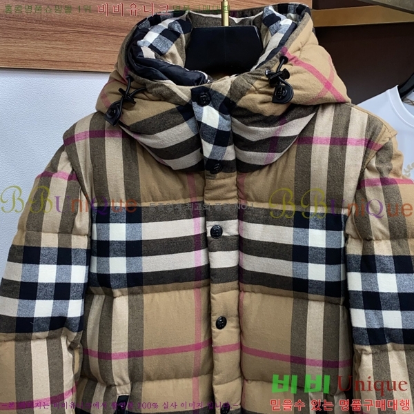 ���� ������ �е� B96763