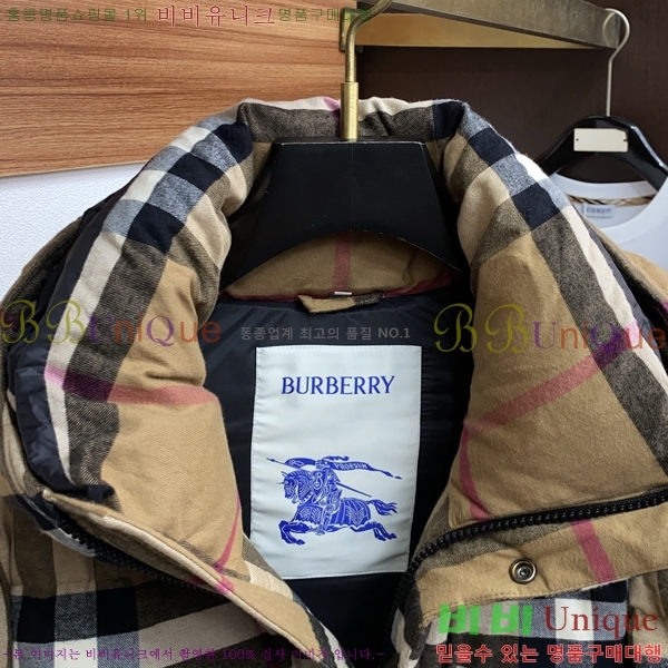 ���� ������ �е� B96763