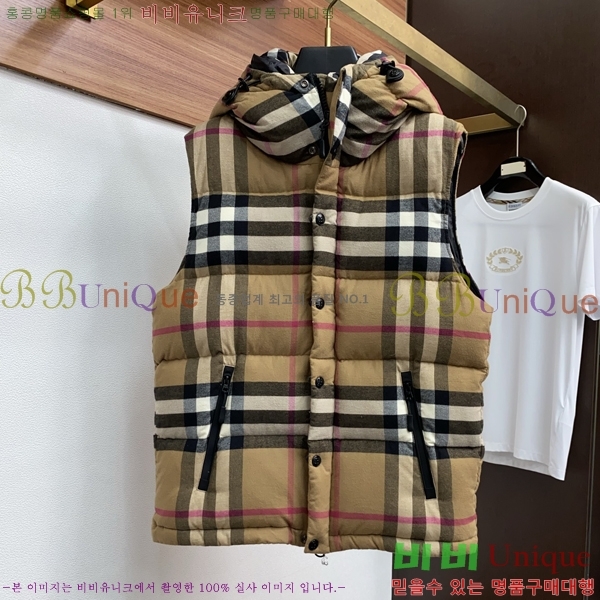 ���� ������ �е� B96763