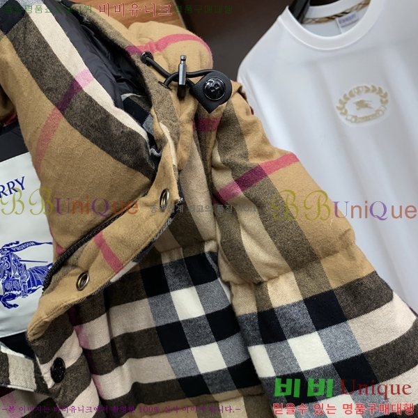 ���� ������ �е� B96763