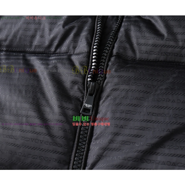 ���� ����� �ٿ� �е� PA253648