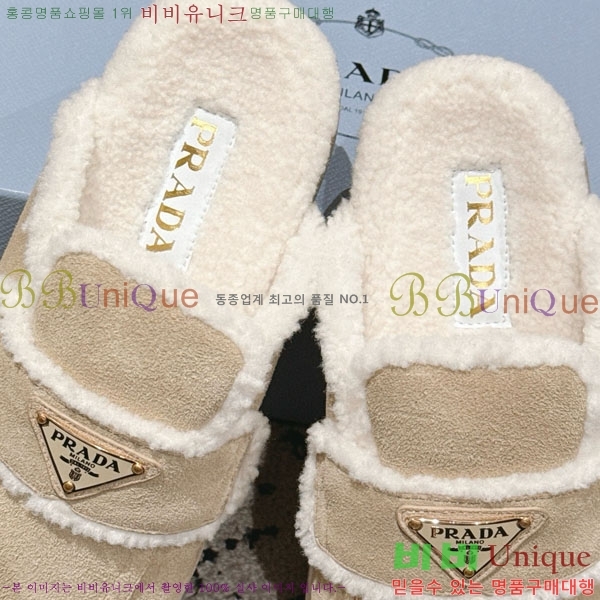 ���� ����� �� ������ P5560221-4