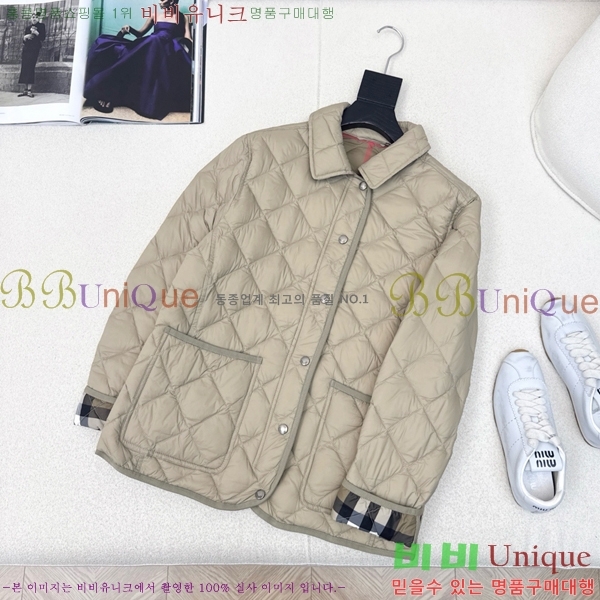 ���� ������ �ٿ� �е� BU23878-2