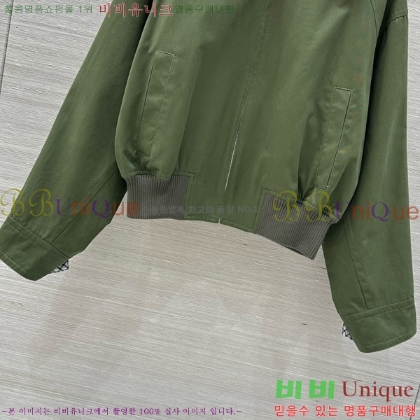 ���� ���װ�����Ÿ ���� BV156756-1