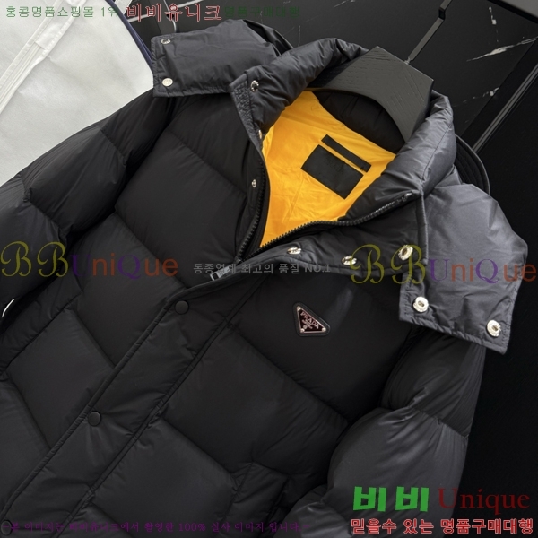 �������� ����� �е� ���� PP96734