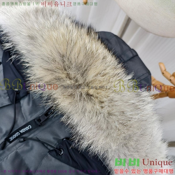 ���� ĳ���ٱ��� �ٿ� �е� CAG65783-7