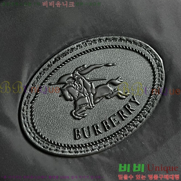 ���� ������ �е� ���� BU256276