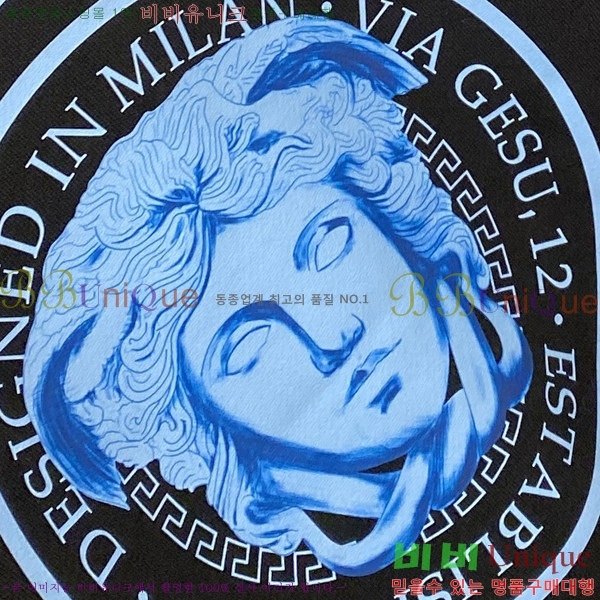 ���� ������ü ������ V087473-2