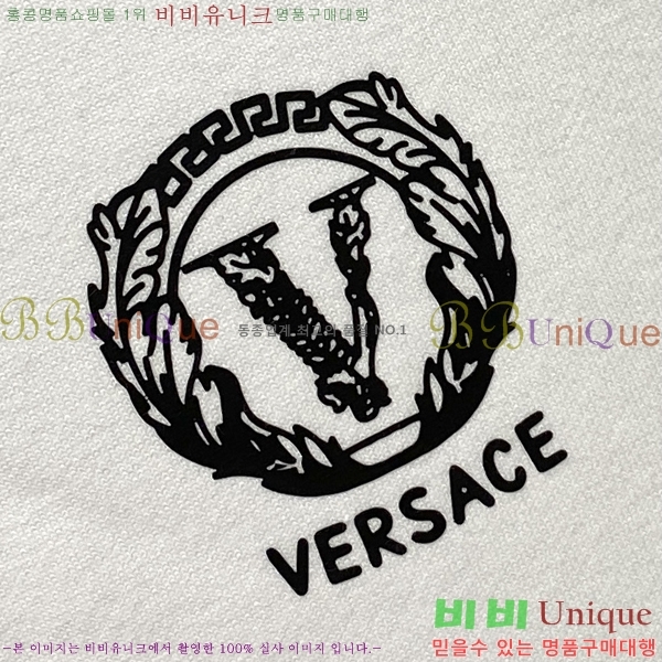 ���� ������ü ������ V087474