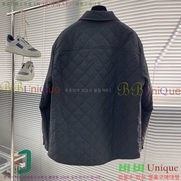 ���� ���װ�����Ÿ �淮 �е� BV242876