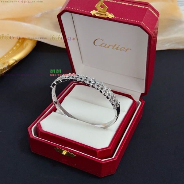 �������� ��쿡 ���� CAR33403-5