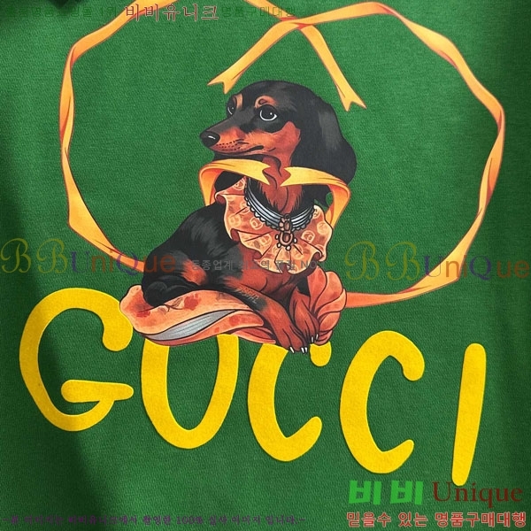 ���� ���� ������ GU134717-2