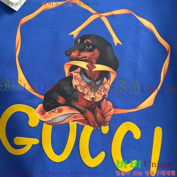 ���� ���� ������ GU134717-1