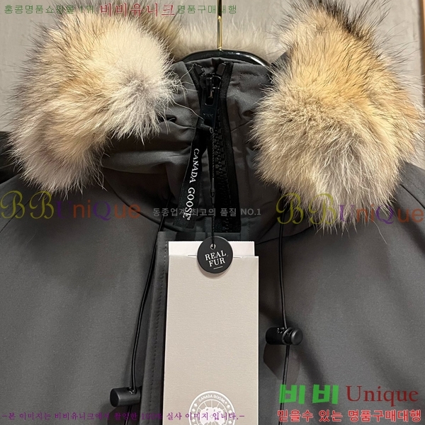  ĳٱ ٿ е CAG157489-1