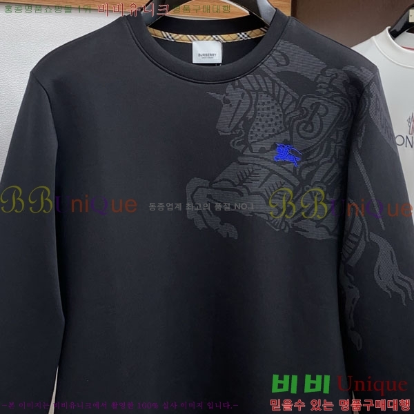 ���� ������ ������ B8452719-1