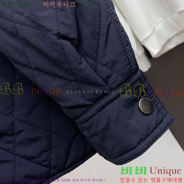 ���� ������ �е� ���� BU256284-1