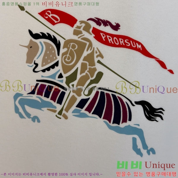 ���� ������ ������ B8452724-1