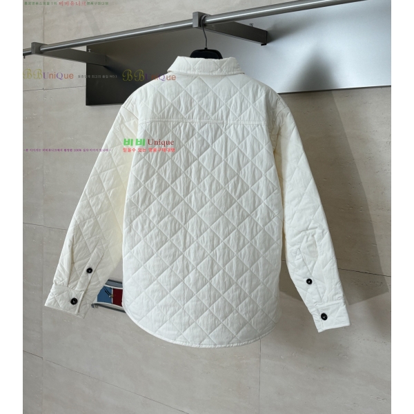 ���� ���װ�����Ÿ �淮 �е� BV242880-1