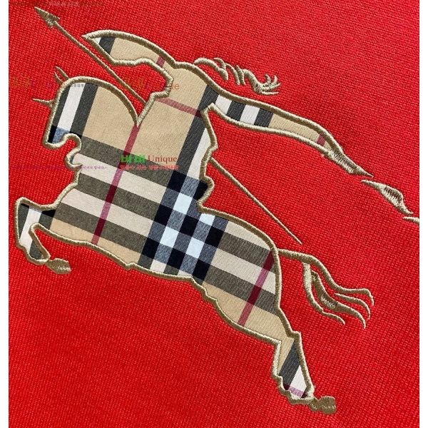 ���� ������ ������ BU376839