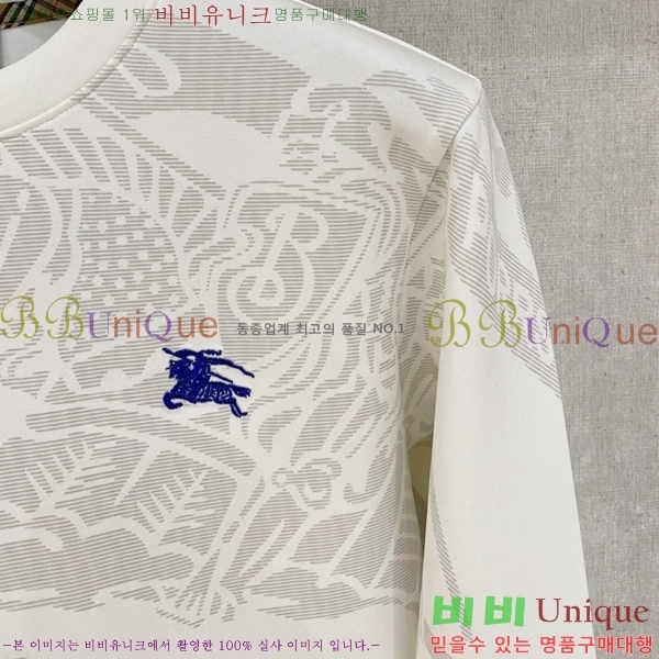 ���� ������ ������ B84527461-1