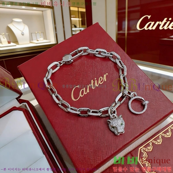 �������� ��쿡 ���� CA34336-1