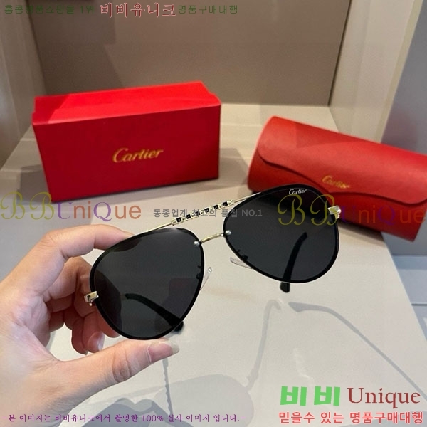 �*�� ���۶� CA497439