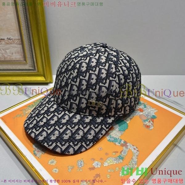 ��� ���� ��ĸ DR2631893-1 ����