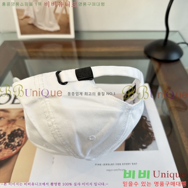 ����*ü ���� V86421-2